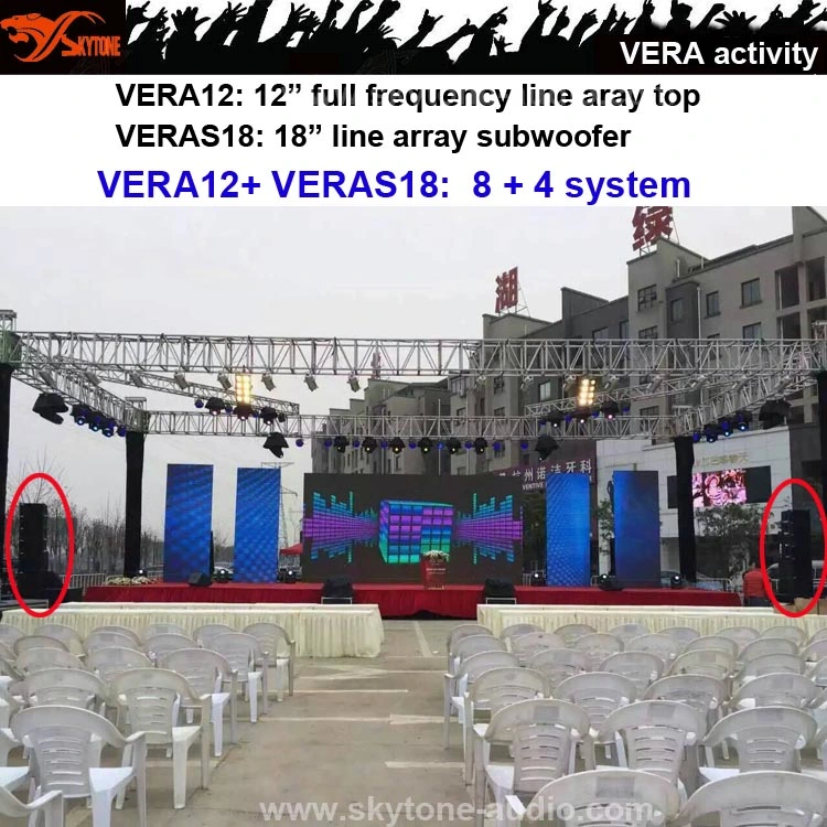 Line Array Factory Direct Best Concert or PA Speakers