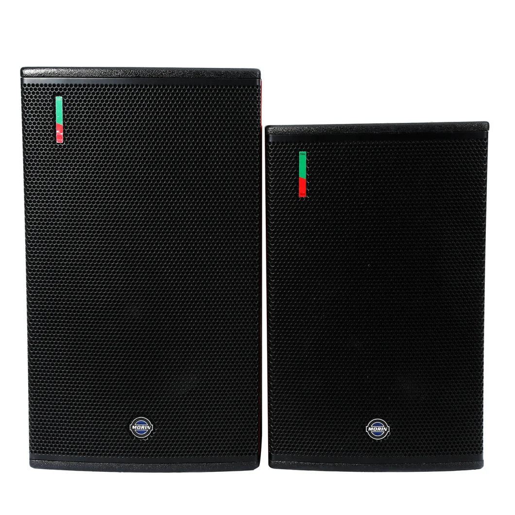 10 Inch Professional Audio KTV Karaoke Speakers