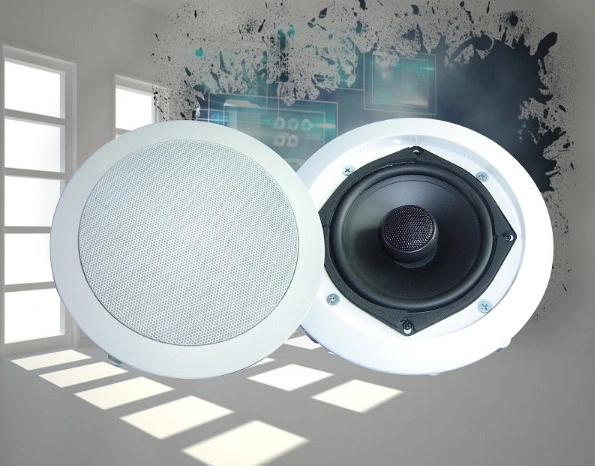 Hi-Fi Ceiling Speaker Fixed Resistance with Coaxial Frequency Division