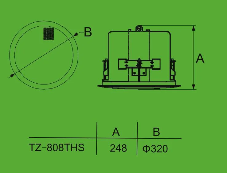 Conference Speaker, Tz-808ths