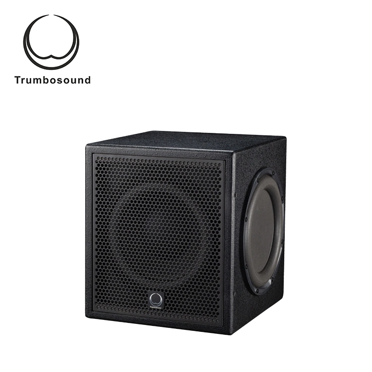 Active Subwoofer Box 10 