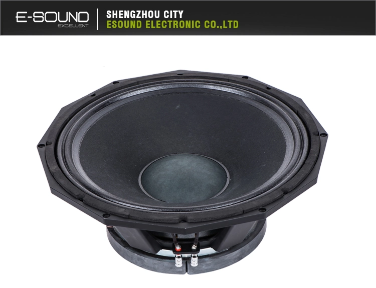 21 Inch 1800watts High Power Speaker Pd2160