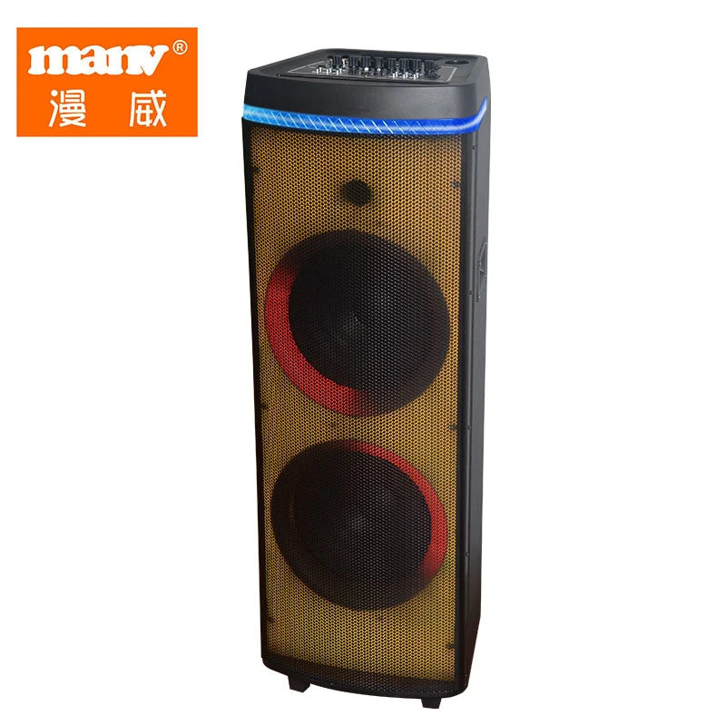 Newest Dual 12 Inch Firelight Speaker with Battery, Wireless Speaker Big Power Bank Speaker