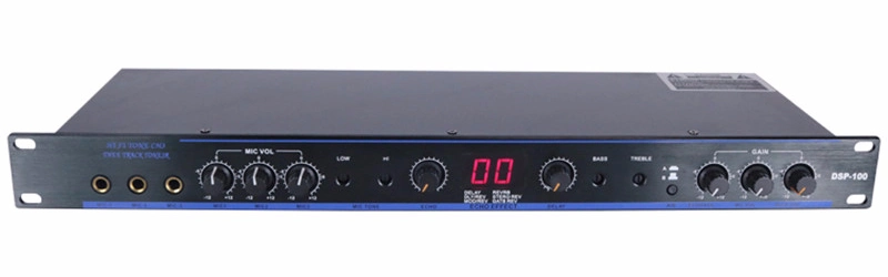 Professional DSP-100 2 Signal Inputs DSP Professional Audio Karaoke Digital Processor