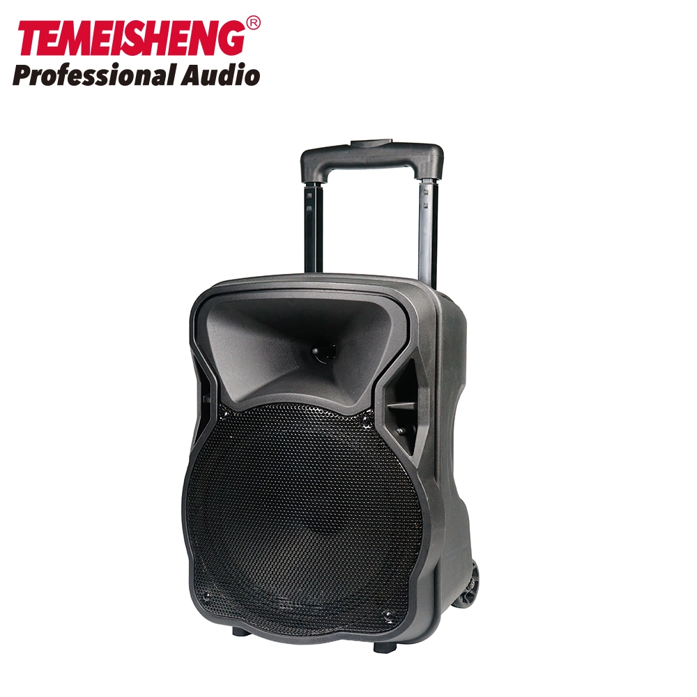 Sound Systems Portable Karaoke Speaker Box DJ Speaker