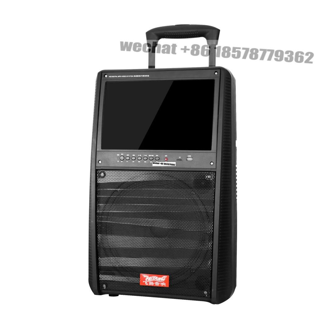 Feiyang LED Screen Speaker 12inch Trolley Speaker with Big 15 LED Screen F30