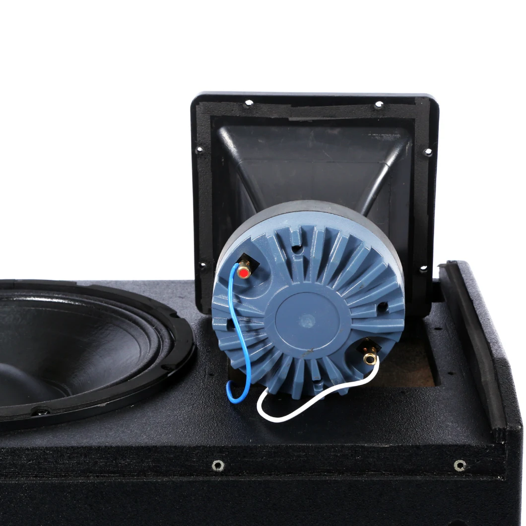 12 Inch 2-Way Karaoke Speaker for KTV Karaoke Sound System