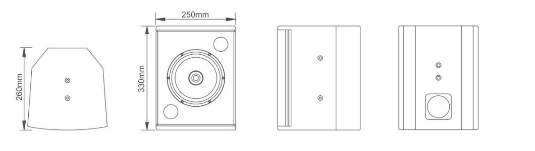 Home Theater Surround Speakers Foh System Speaker