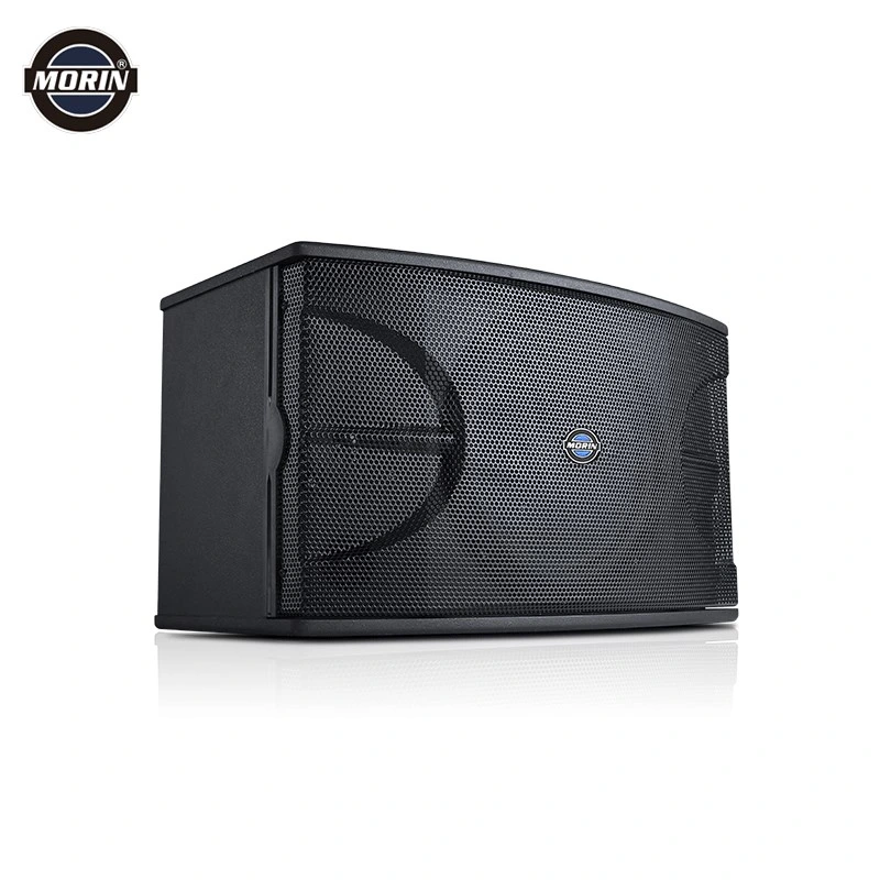 Professional Audio High Efficient Loud Speaker for Night Club Bar KTV Speaker Ok-106