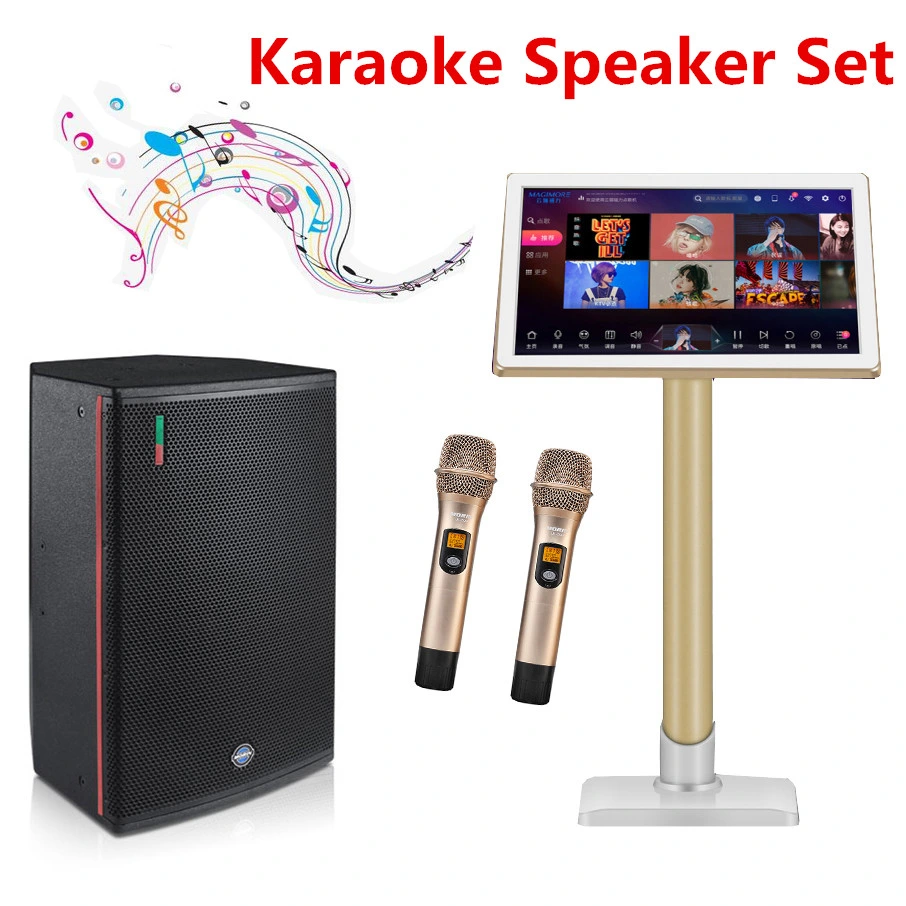 Hot Sell Home Theatre System 12 Inch Passive Full Range KTV Speaker Morin CQ-12