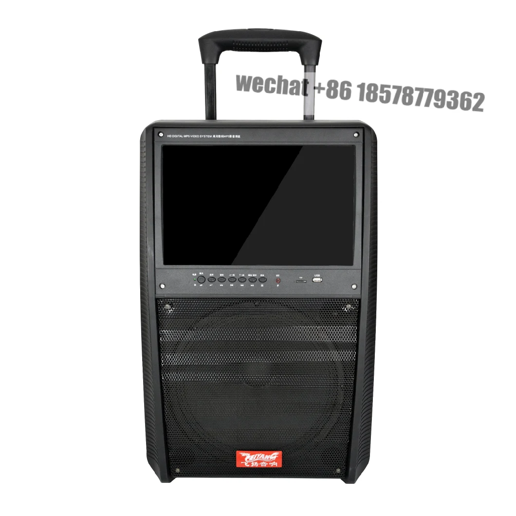 Feiyang LED Screen Speaker 12inch Trolley Speaker with Big 15 LED Screen F30