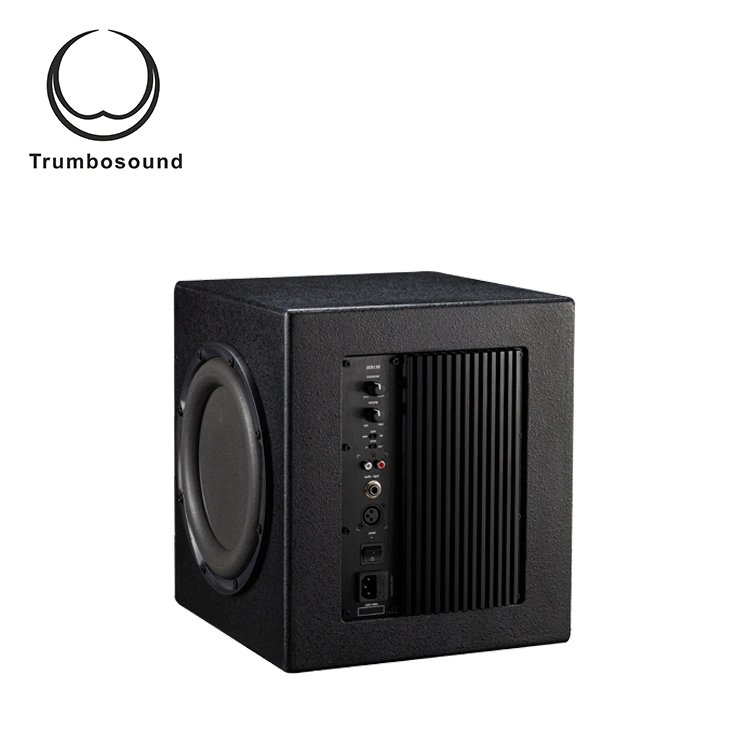 Active Subwoofer Box 10 