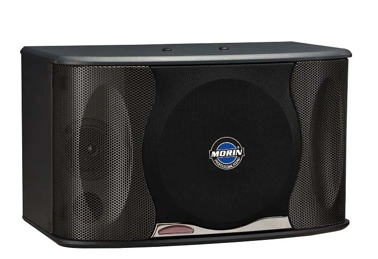 Wholesale Price 10inch Speaker for KTV/ Conference System / Meeting Room /Coffee House/ Ok-410