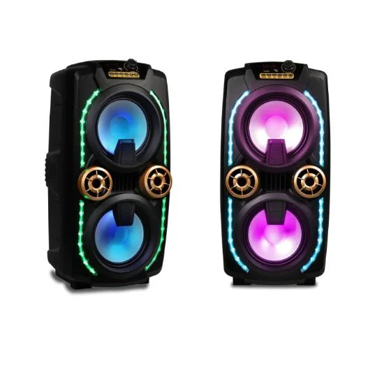 Portable Karaoke Speaker Wireless Speaker Double 8 Inch Party Speaker 208A-01