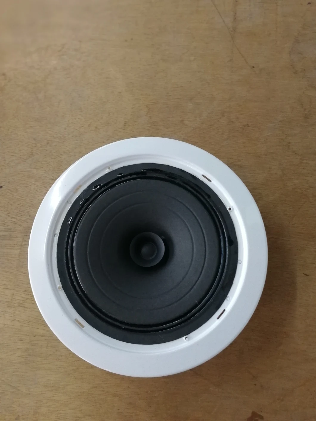 100V in-Ceiling Speaker Lth-602 for Meeting Room