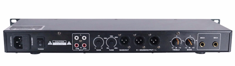 Professional DSP-100 2 Signal Inputs DSP Professional Audio Karaoke Digital Processor