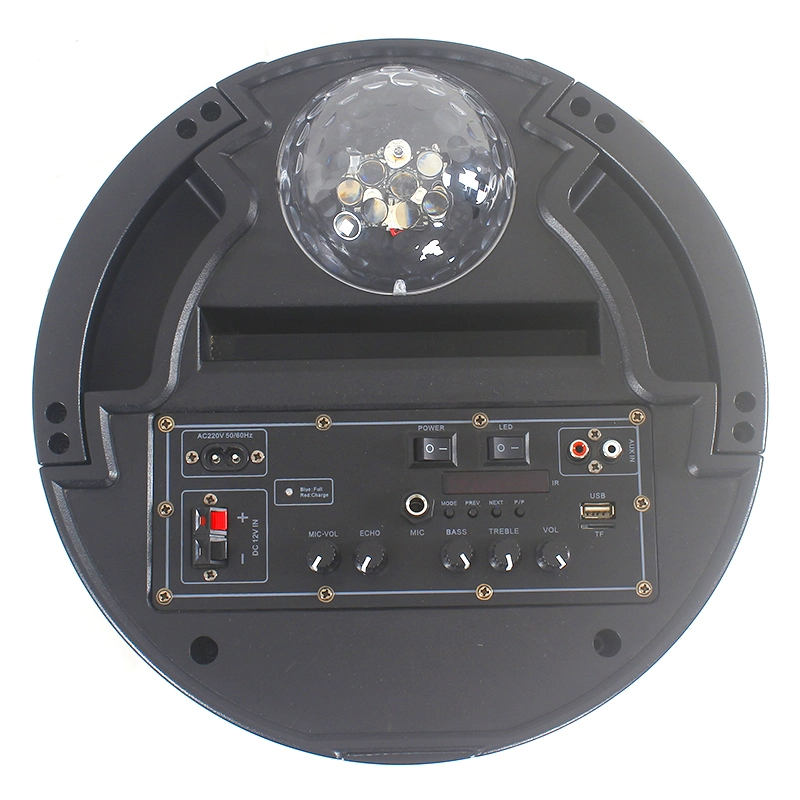 Professional Party Home Theater HiFi Disco Ball Woofer Karaoke PRO Audio Mobile Party Speaker