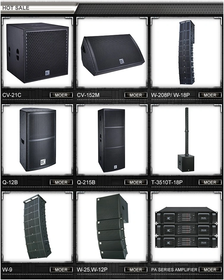 Cvr Active Dual 10 Inch Line Array System 800 Watt Array Speaker