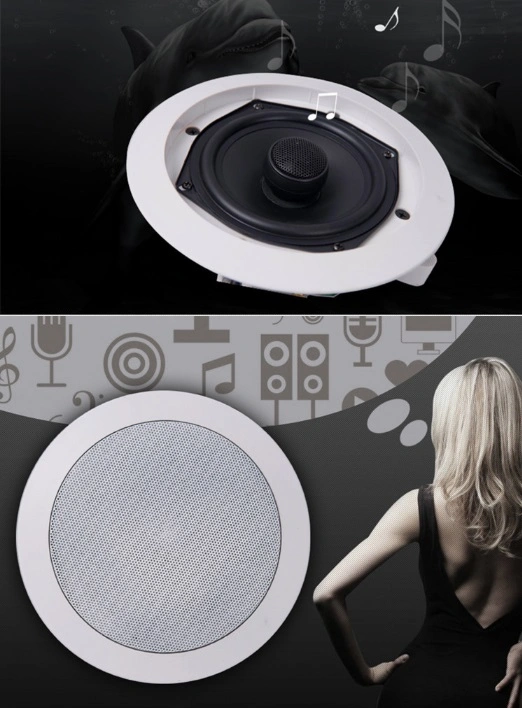 Hi-Fi Ceiling Speaker Fixed Resistance with Coaxial Frequency Division