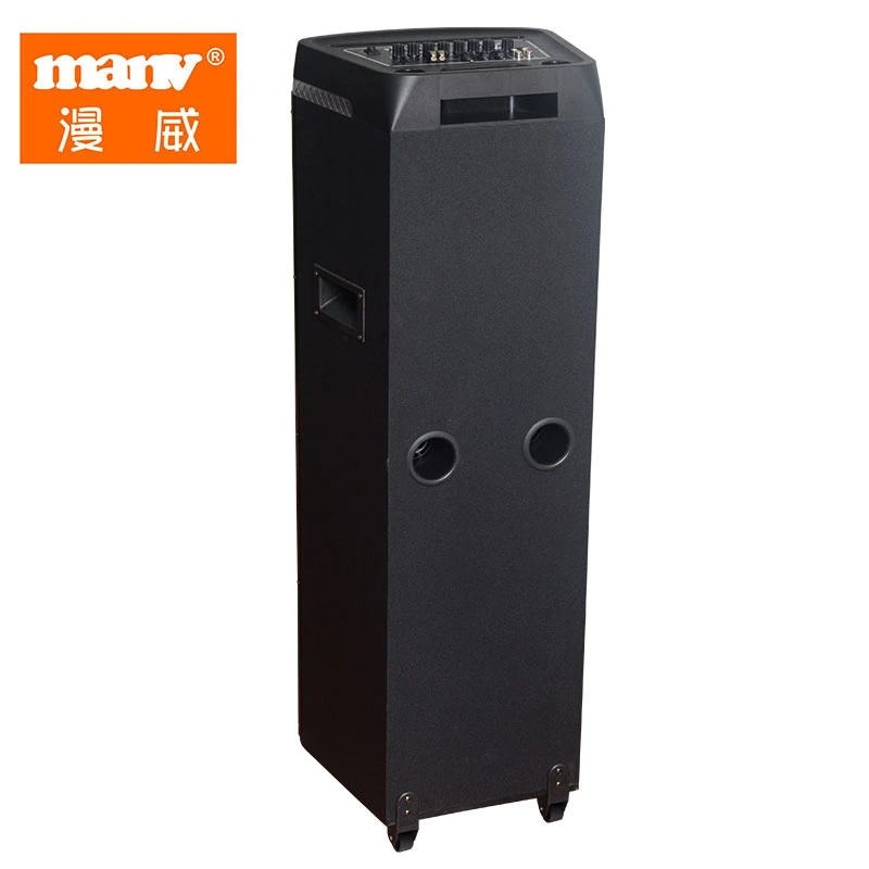 Newest Dual 12 Inch Firelight Speaker with Battery, Wireless Speaker Big Power Bank Speaker