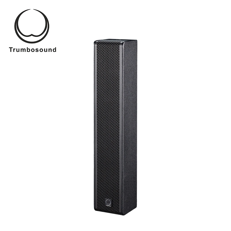 3 Inch Full Range Speaker Column Loudspeaker 6X3 Inch Full Range Speaker L36