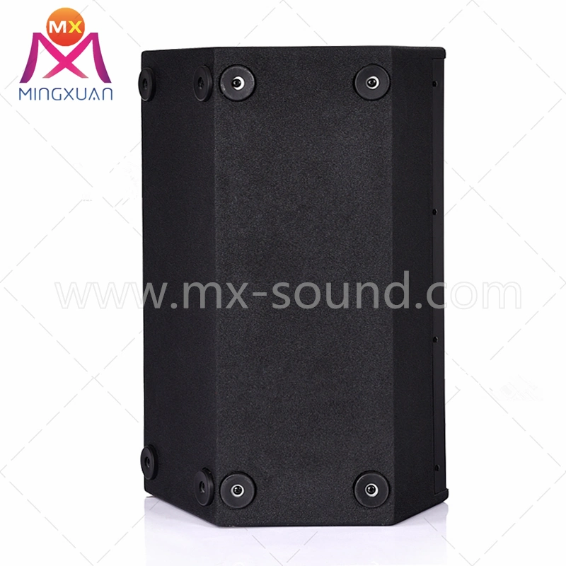 Professional Disco Active Speaker Cabinet PA Speaker