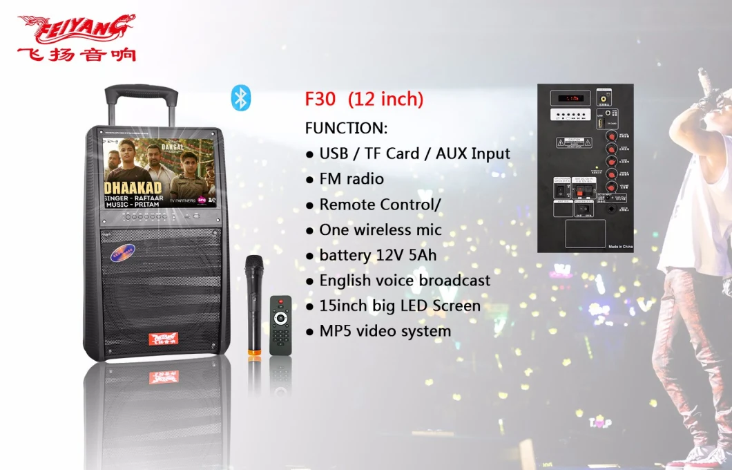 Feiyang LED Screen Speaker 12inch Trolley Speaker with Big 15 LED Screen F30