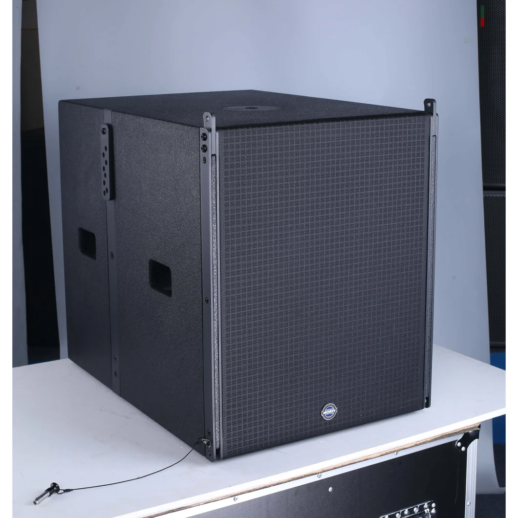 DJ Live Music Speaker, Wedding Party Speaker Boxes 10 Inch Active Sound System Line Array Q1