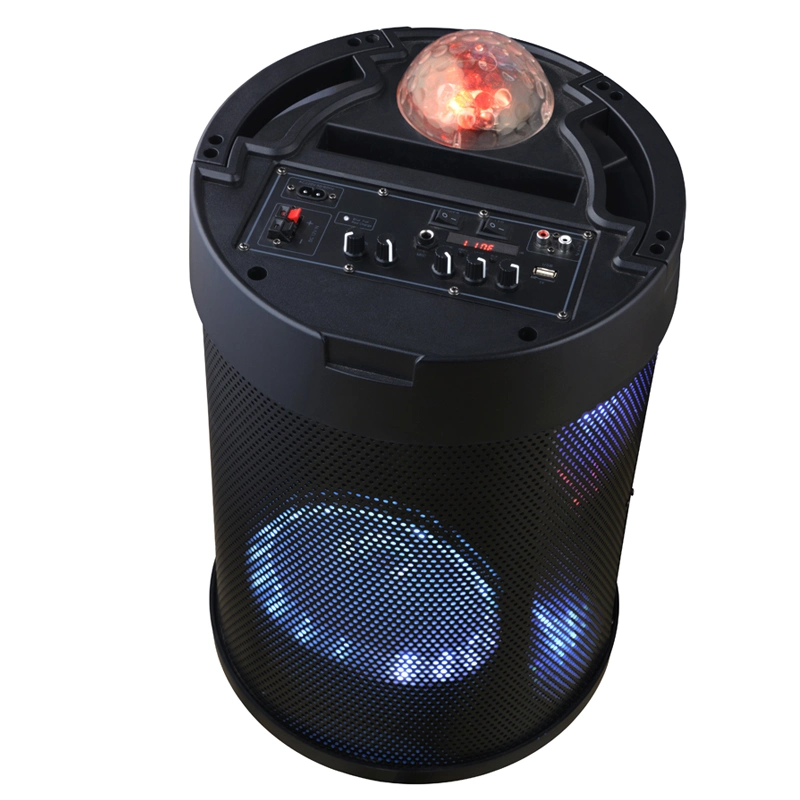 Professional Party Home Theater HiFi Disco Ball Woofer Karaoke PRO Audio Mobile Party Speaker