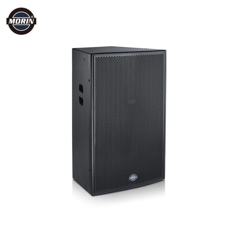 Passive PRO Concert Speakers Design 15 Inch Speakers