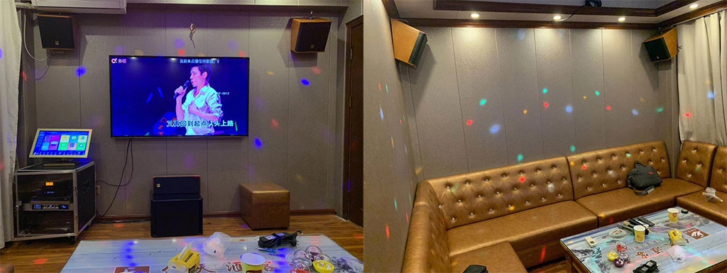 5.1 Home Theater, Meeting Room PRO Speaker, 10'' Mini Audio (MX-10P)