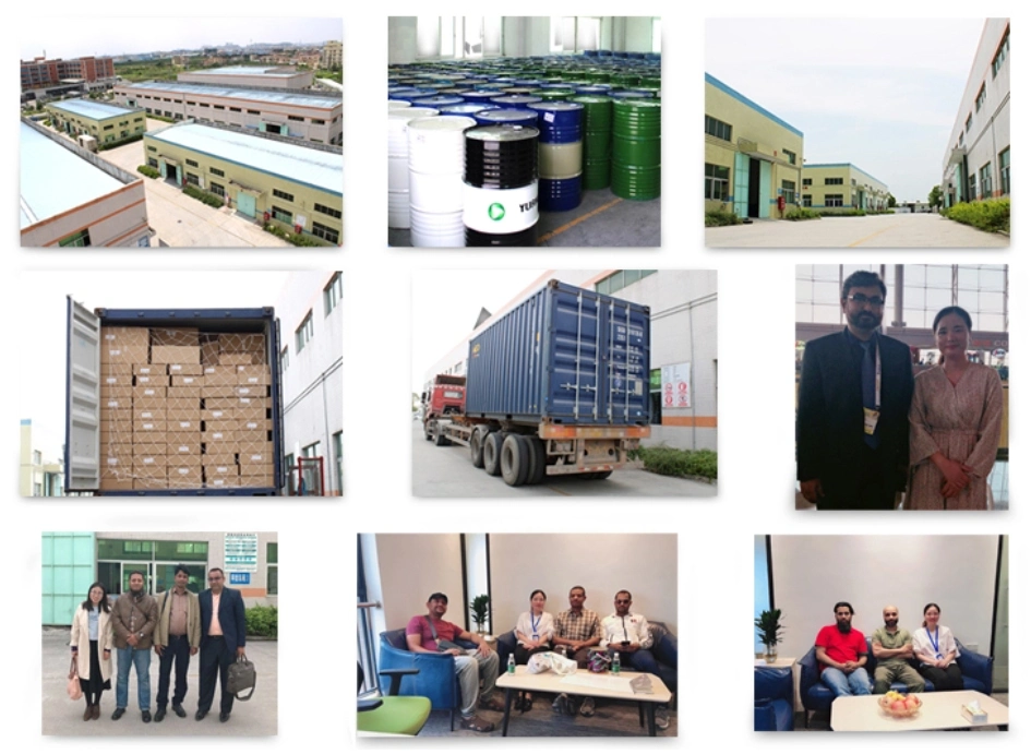 Professional China Manufacturer Autocryl Color Car Paint for Auto Refinish Paint