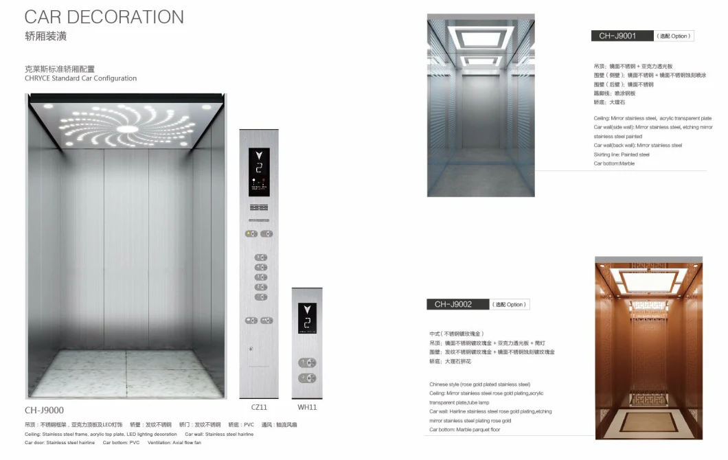 800kg 10 Persons Personalization Design Passenger Elevator for Construction Building
