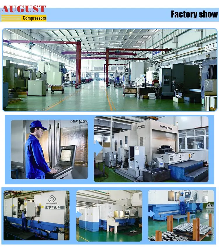 Small Glass Elevator Lift Passenger Cheap Sightseeing Elevator