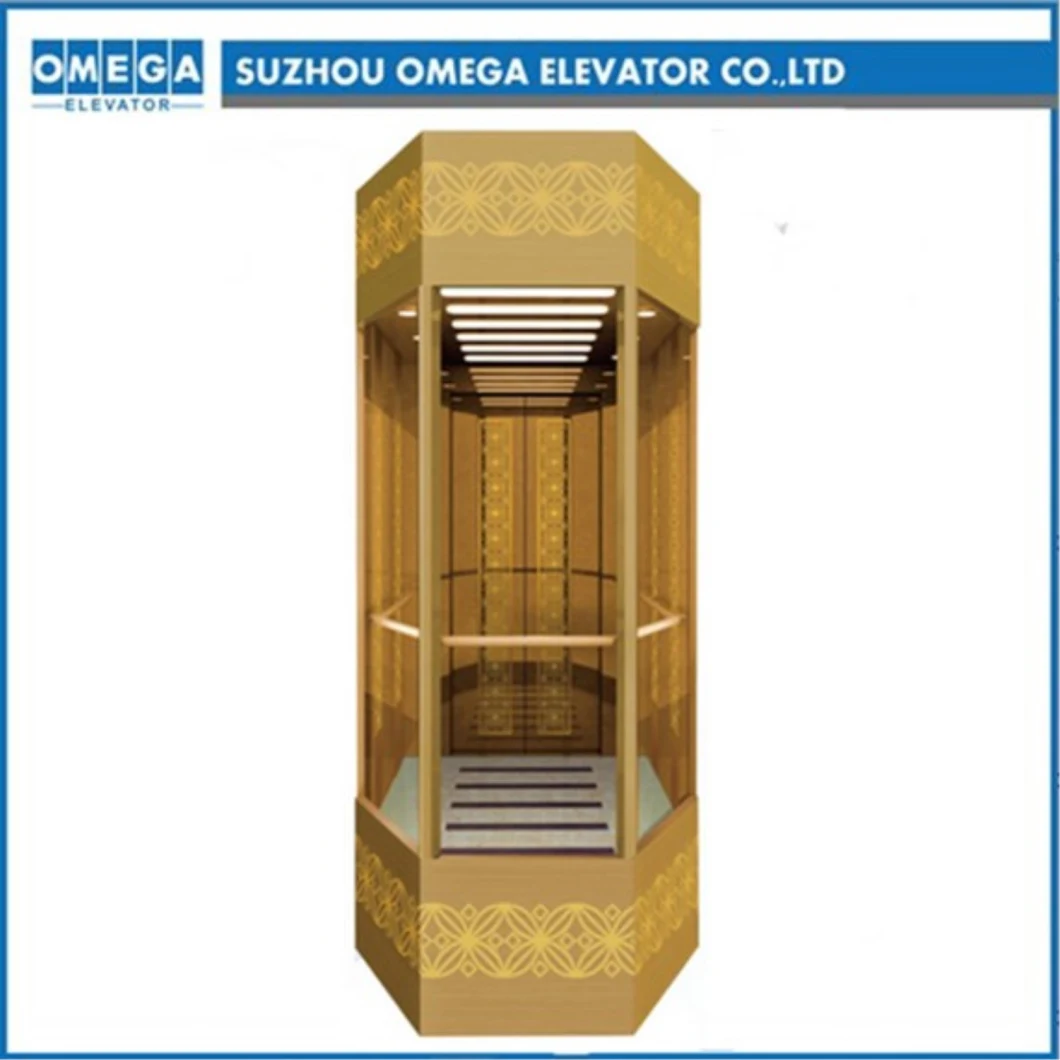 Hitachi Passenger Elevator Titanium Gold Ss Panoramic Glass Observation Elevator in China