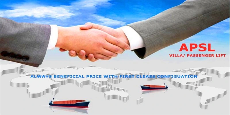 BOUTIQUE Luxury Lifts Villa Elevator Residential Home Elevator Stable Quality