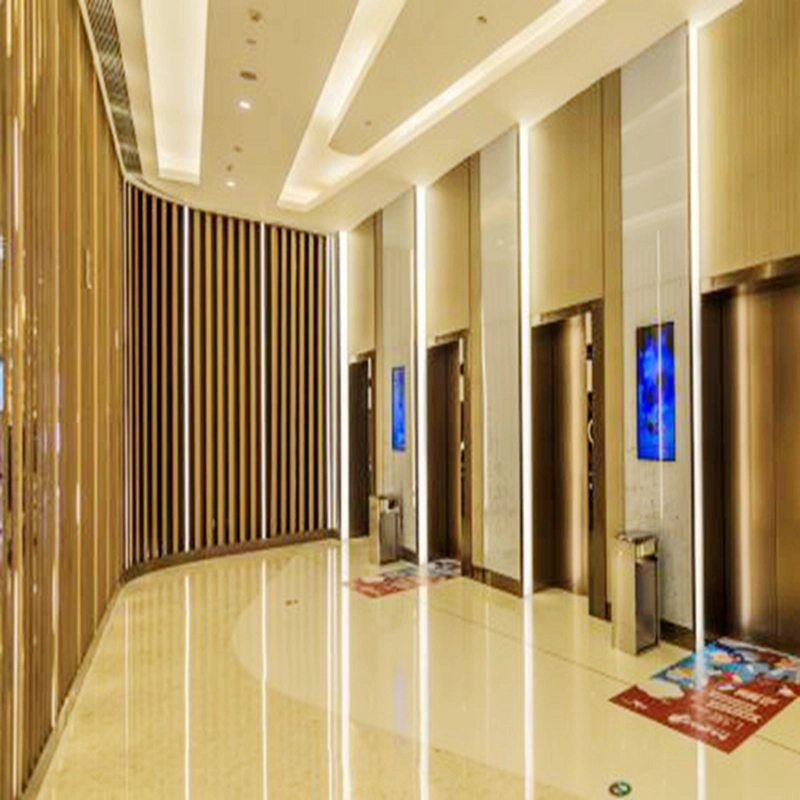 800kg passenger elevator lift small home passenger hospital hotel elevator etching mirror hairline stainless steel golden sightseeing elevator price