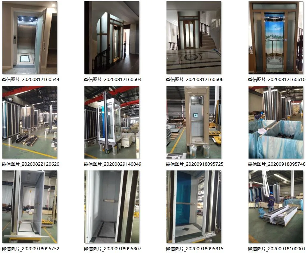 FU JI APSLTouchless Button Elevator Mr Building Passenger Elevator Lift Residential Home Elevator Lift
