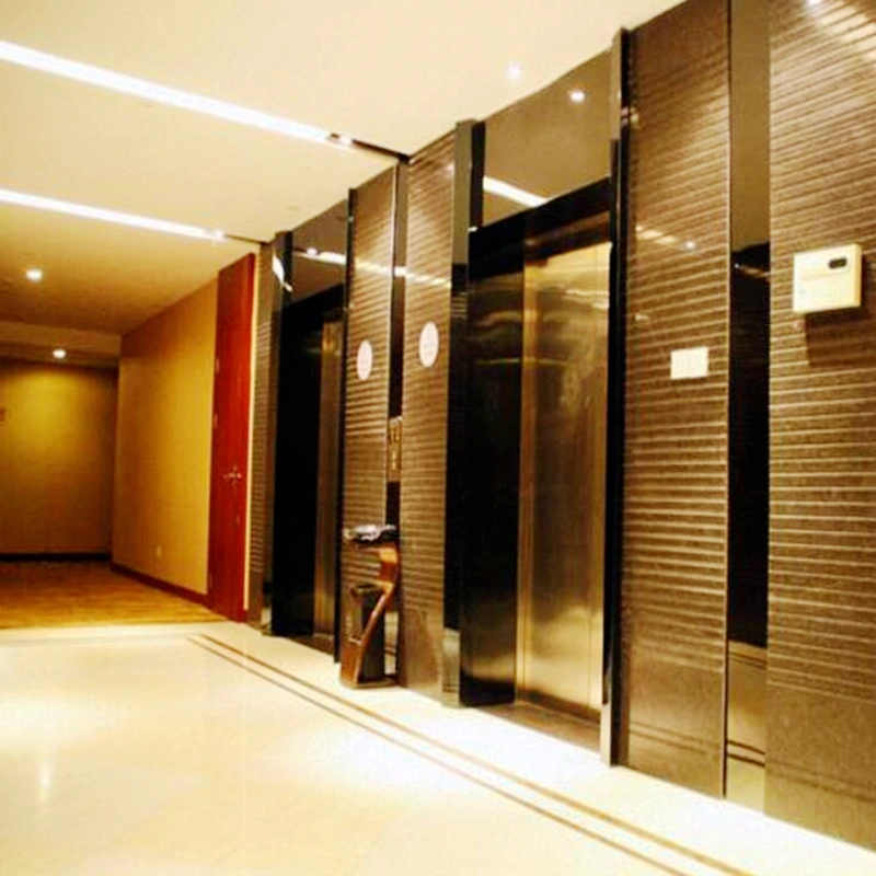 800kg passenger elevator lift small home passenger hospital hotel elevator etching mirror hairline stainless steel golden sightseeing elevator price