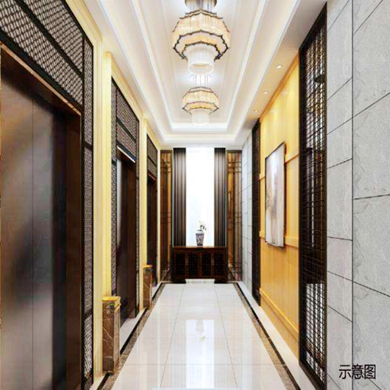 800kg passenger elevator lift small home passenger hospital hotel elevator etching mirror hairline stainless steel golden sightseeing elevator price