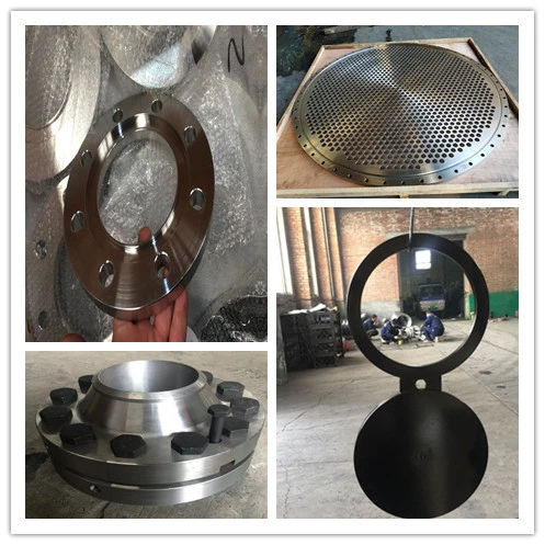 Factory Stainless Steel Pure Forged Wn Bl Pl Flange