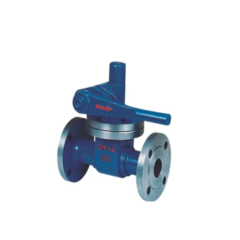 Pn16 Cast Steel/Stainless Steel Drain Valve Flange End Blowdown Valve