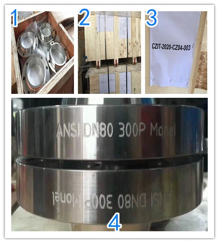 Factory Stainless Steel Pure Forged Wn Bl Pl Flange