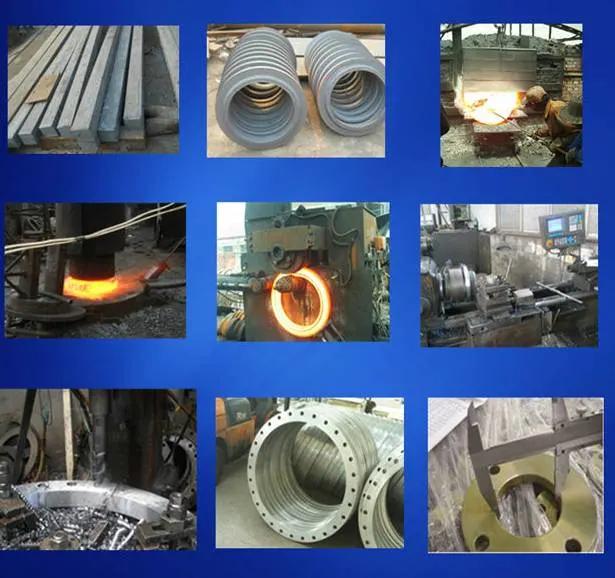 ASTM Stainless Steel Weld Neck Flange