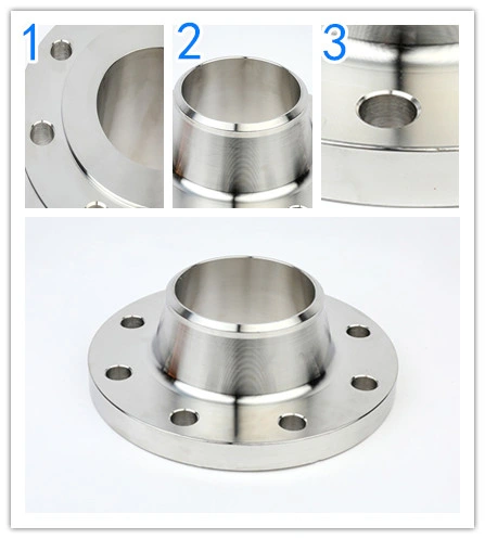 Factory Stainless Steel Pure Forged Wn Bl Pl Flange