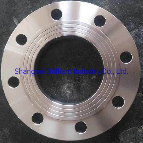 Flange/Alloy Steel Forged Wn/So/Threaded/Plate/Socket/Blind Flange Carbon Steel /Stainless Steel 