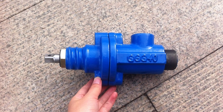 Cast Iron Service Valve with Bsp Thread/Thread End Gate Valve/Angle Valve