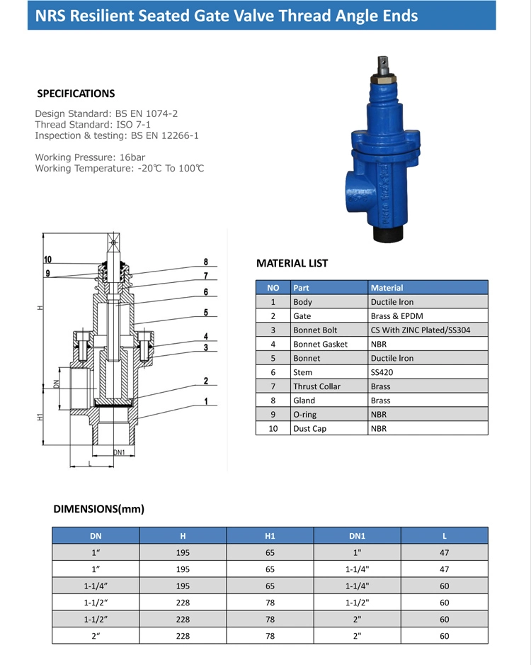 Cast Iron Service Valve with Bsp Thread/Thread End Gate Valve/Angle Valve