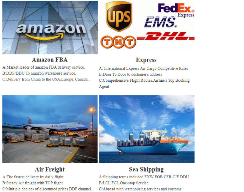 Sea Freight to South Africa Shipping Cargo Freight Agent