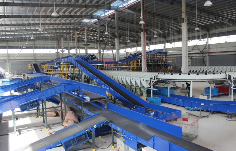 Factory Price Automatic Conveyor System for Express Package Sorted and Dilevery Scanning and Weighing Intelligently with CE